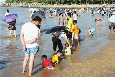 学游泳成不少学生暑假"必修课"